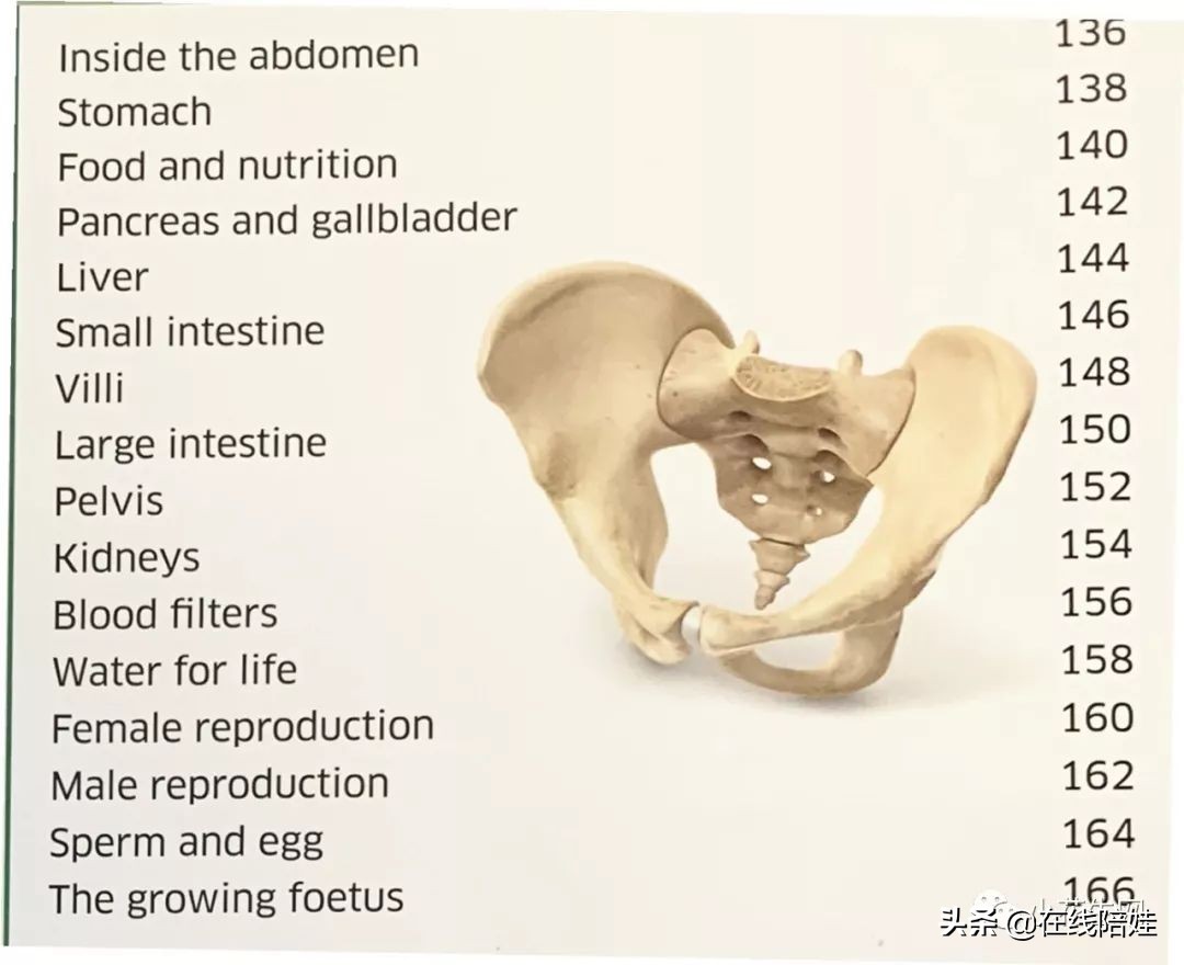 dk知识大百科全套,dk知识大百科书金银版