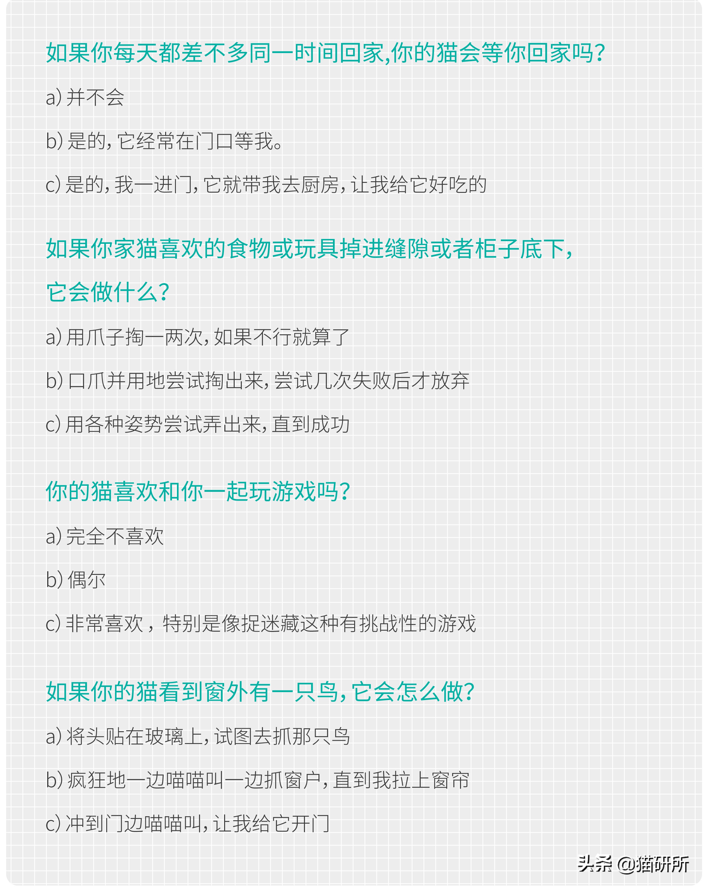 猫比狗聪明吗知乎,猫比狗诚实吗