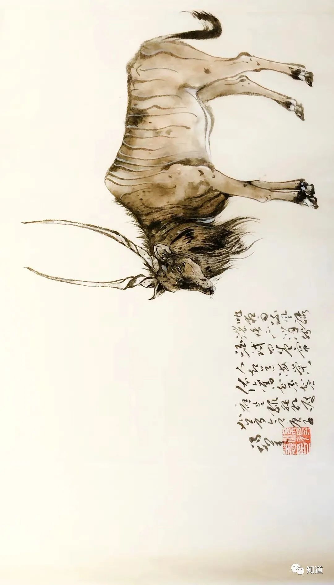 一位画家的文章,一位画家的图片