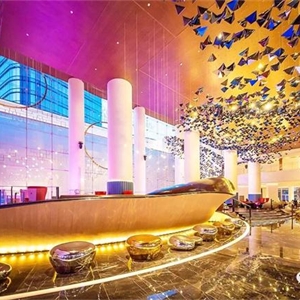 广州w酒店案例分析,苏州餐饮酒店设计案例