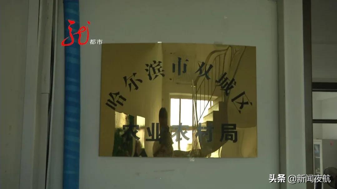 叶子就像抹粉化了妆,西瓜遭殃,玉米提前黄叶子,原来竟跟修路有关