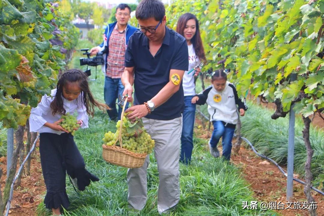 烟台人烟台攻略,烟台张裕酒庄城堡旅游攻略