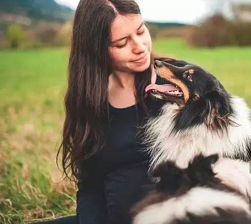 怀孕养狗会导致胎停吗,怀孕养狗会导致流产吗