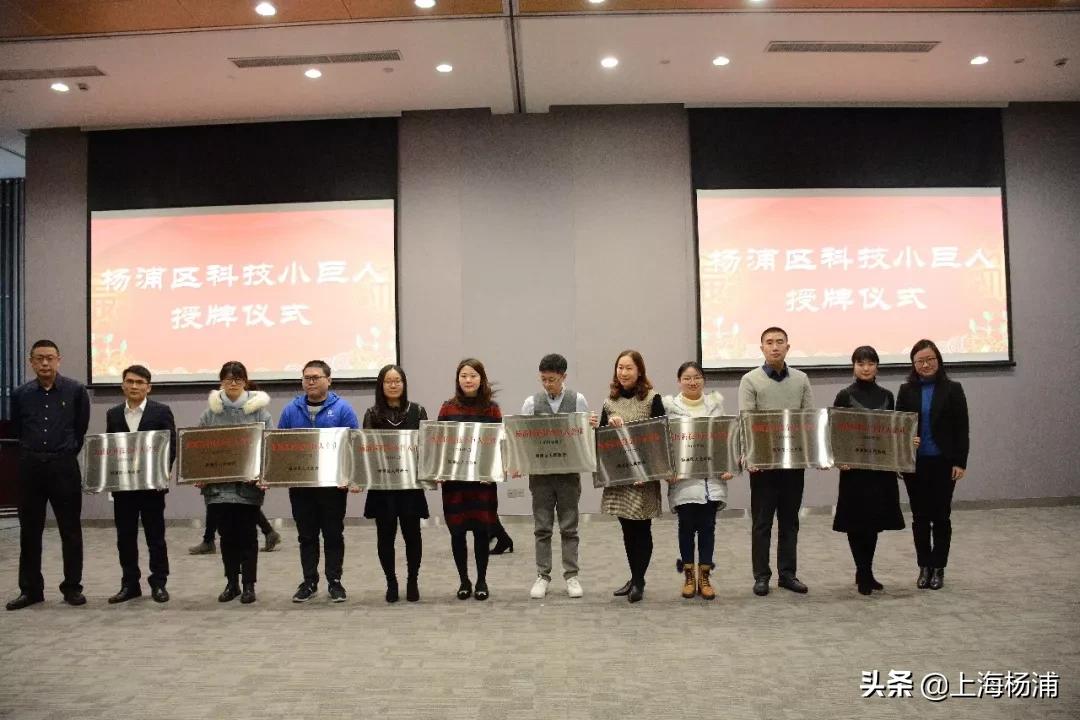 后来的TA们都怎样了？又一批企业获颁杨浦这个称号！