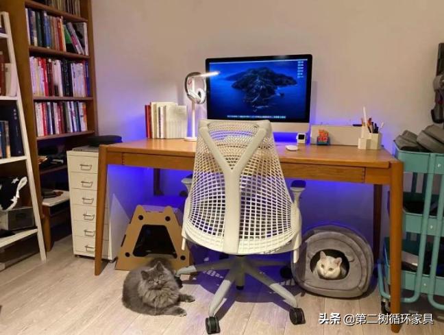 什么椅子最适合办公用,推荐一款办公椅子