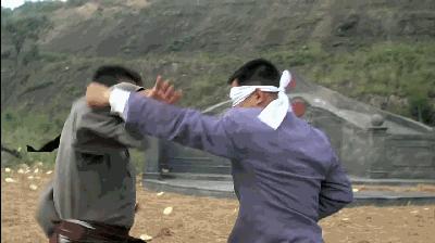 成龙元彪洪金宝甄子丹李连杰电影,李连杰和成龙的武打动作对比