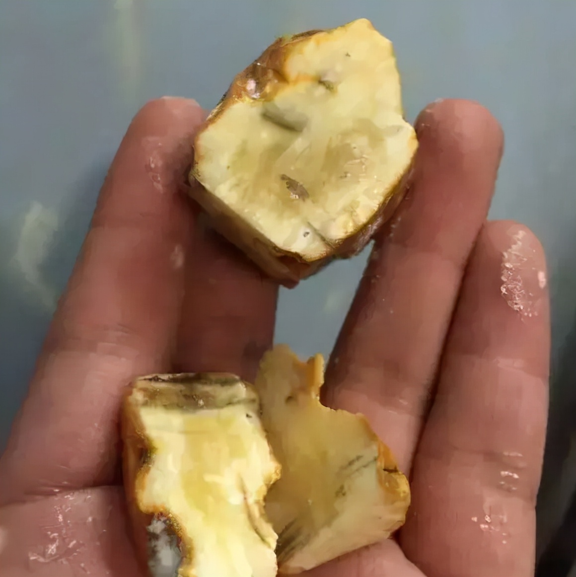 刚买回来的蜜蜡有裂痕有没有事,蜜蜡为什么没有碰就裂开了