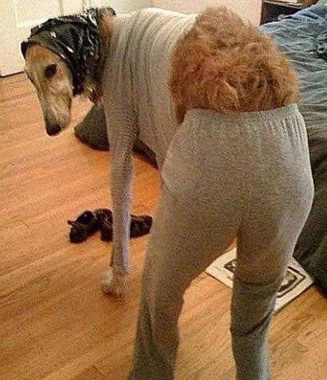 新津温度,现在新津温度