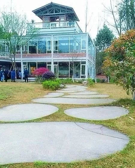 九莲小学办学特色,新津九莲小学