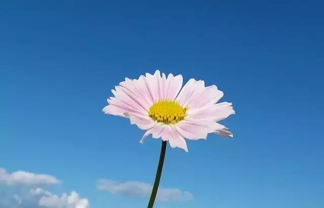 顾城写夜景的诗句,顾城的生日诗句