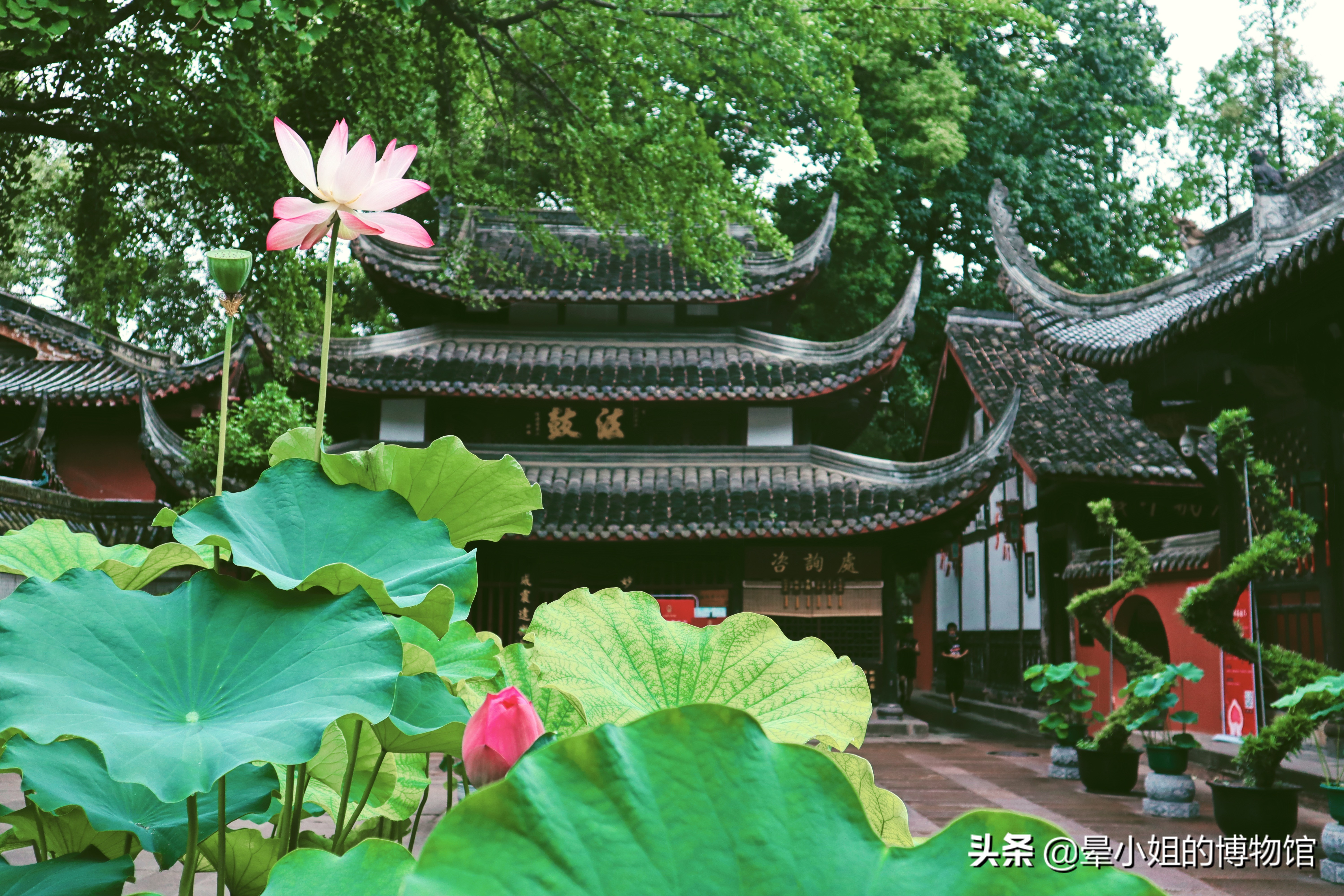 文殊院禅林圣迹,中国四大禅林文殊院