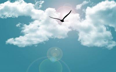 合肥市区东北板块PK西南板块，“三个看清”告诉您谁是中考最强者