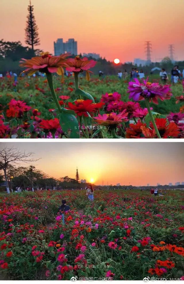 广州地铁直达的打卡地,广州地铁打卡好玩的地方