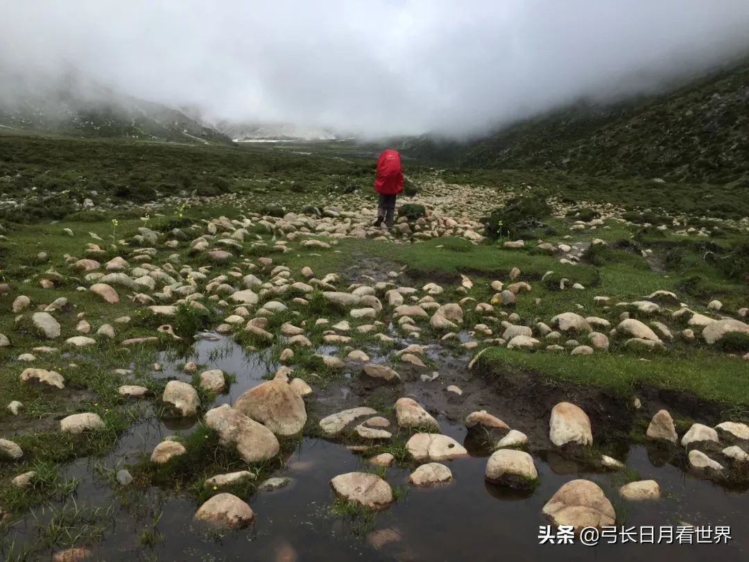 埃及签证问题,埃及签证要工资吗