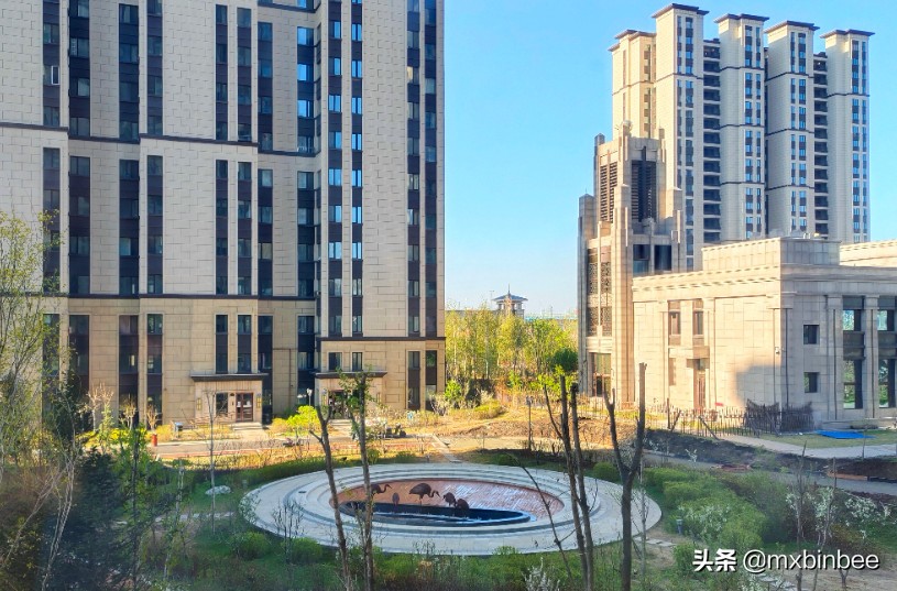 冉冉升起的明星们,哈尔滨金源蓝城效果图