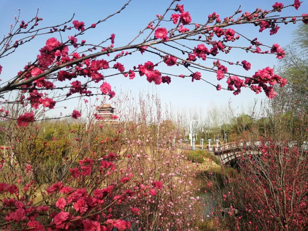 看看郑州的博物馆,郑州博物馆旅游