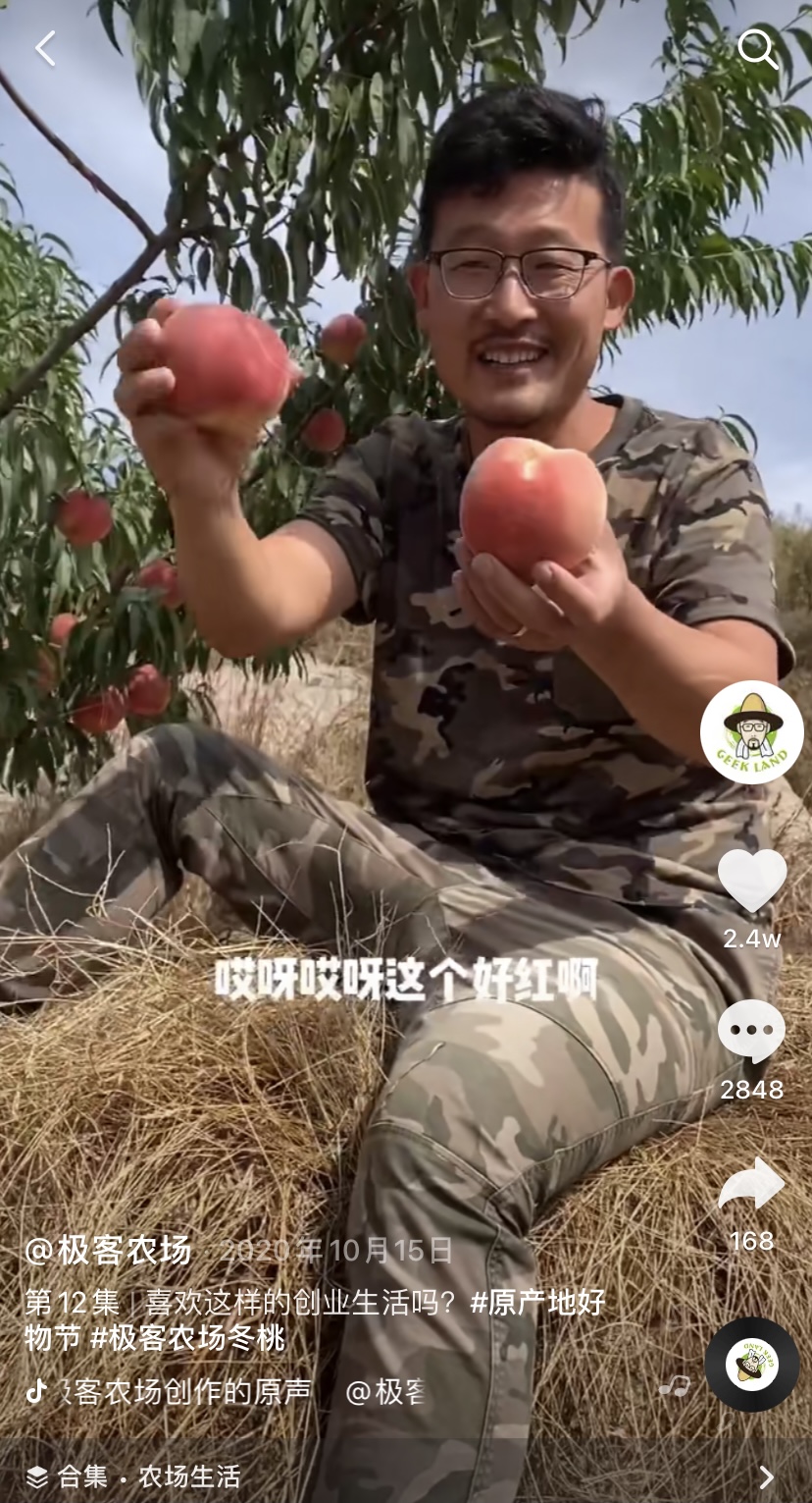 复旦硕士回乡会后悔吗,复旦医学博士弃高薪回乡图片