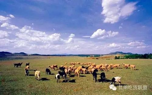 昆明周边自驾一日游露营烧烤,昆明适合自驾户外烧烤游玩的地方