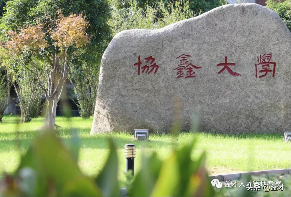 鑫希望沈阳,鑫希望宁津