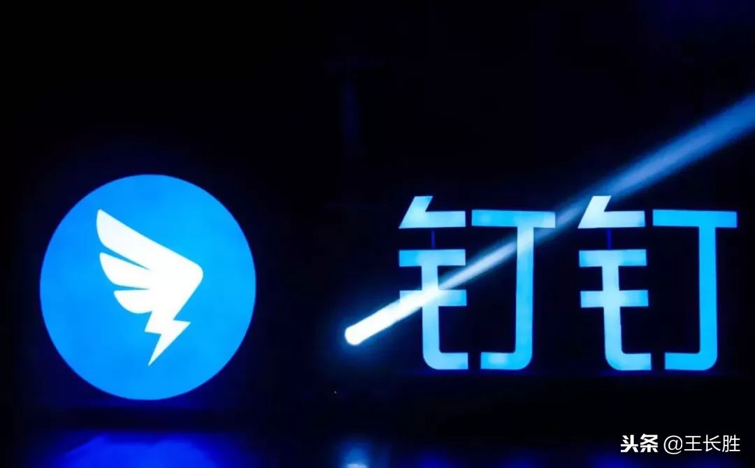 钉钉信息科技,钉钉观察