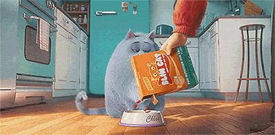 隐藏在爆火背后，是16年专研宠物营养的匠心精神|大咖对话