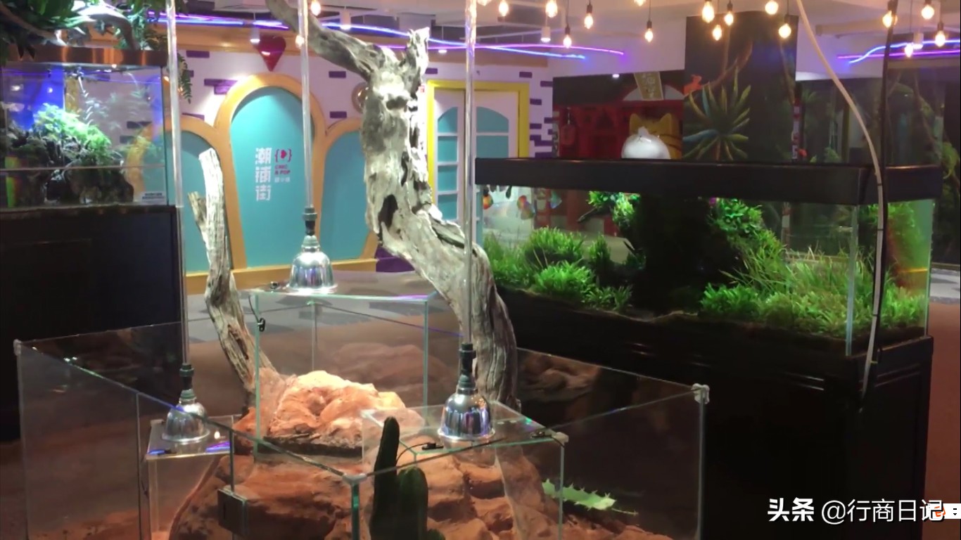 转一转：西单华威商场的潮铺街和约饭街，青春的味道