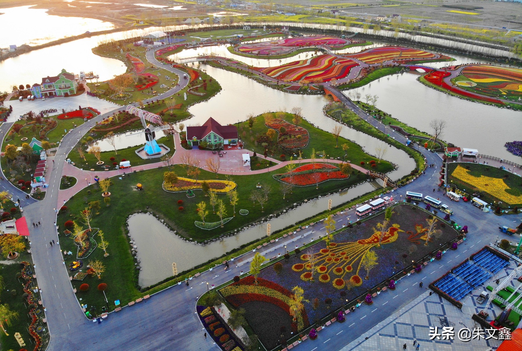 江苏大丰荷兰花海门票多少钱一张,大丰盐城荷兰花海