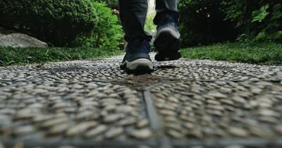 顶级轻奢豪宅屏风隔断,1.58亿豪宅