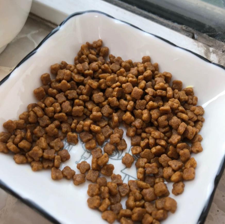又便宜又好的幼猫粮排名,618猫粮怎么囤