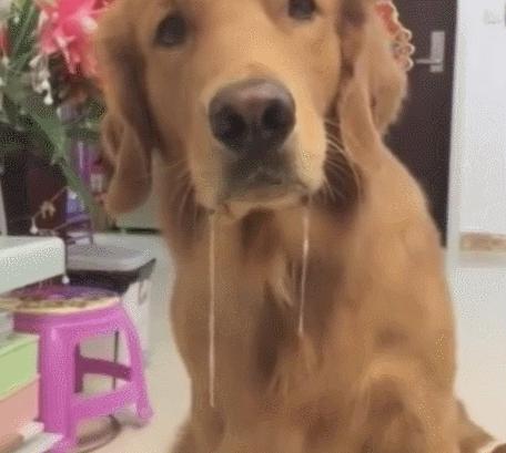 日本发现怪鱼,日本渔民岸边发现什么怪鱼了