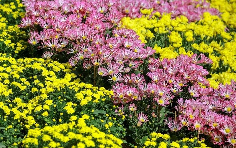 精彩继续！12月广东畅游指南，为你的2018划上圆满句点