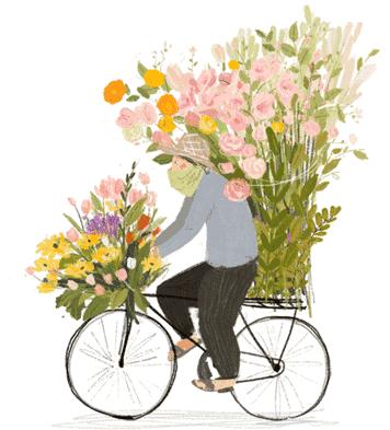 荆报鲜花坊,海洋之歌玫瑰,一扎20枝,55元空运全国包邮