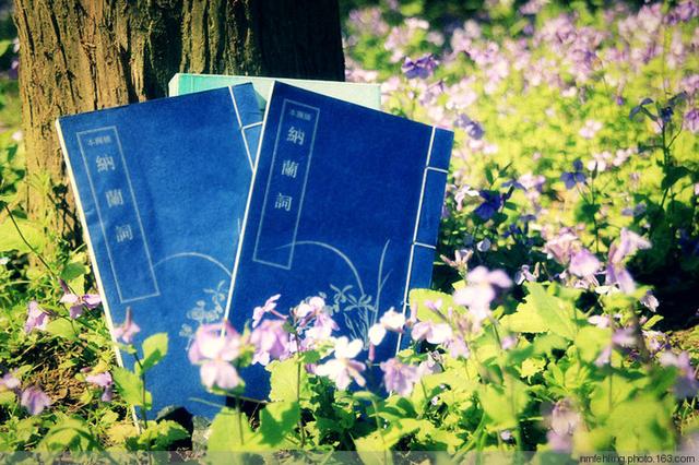 一往情深纳兰容若,一往情深几许纳兰容若