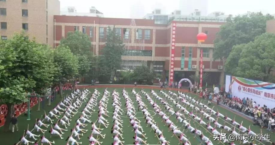 骄傲!游府西街小学又诞生了一个世界冠军