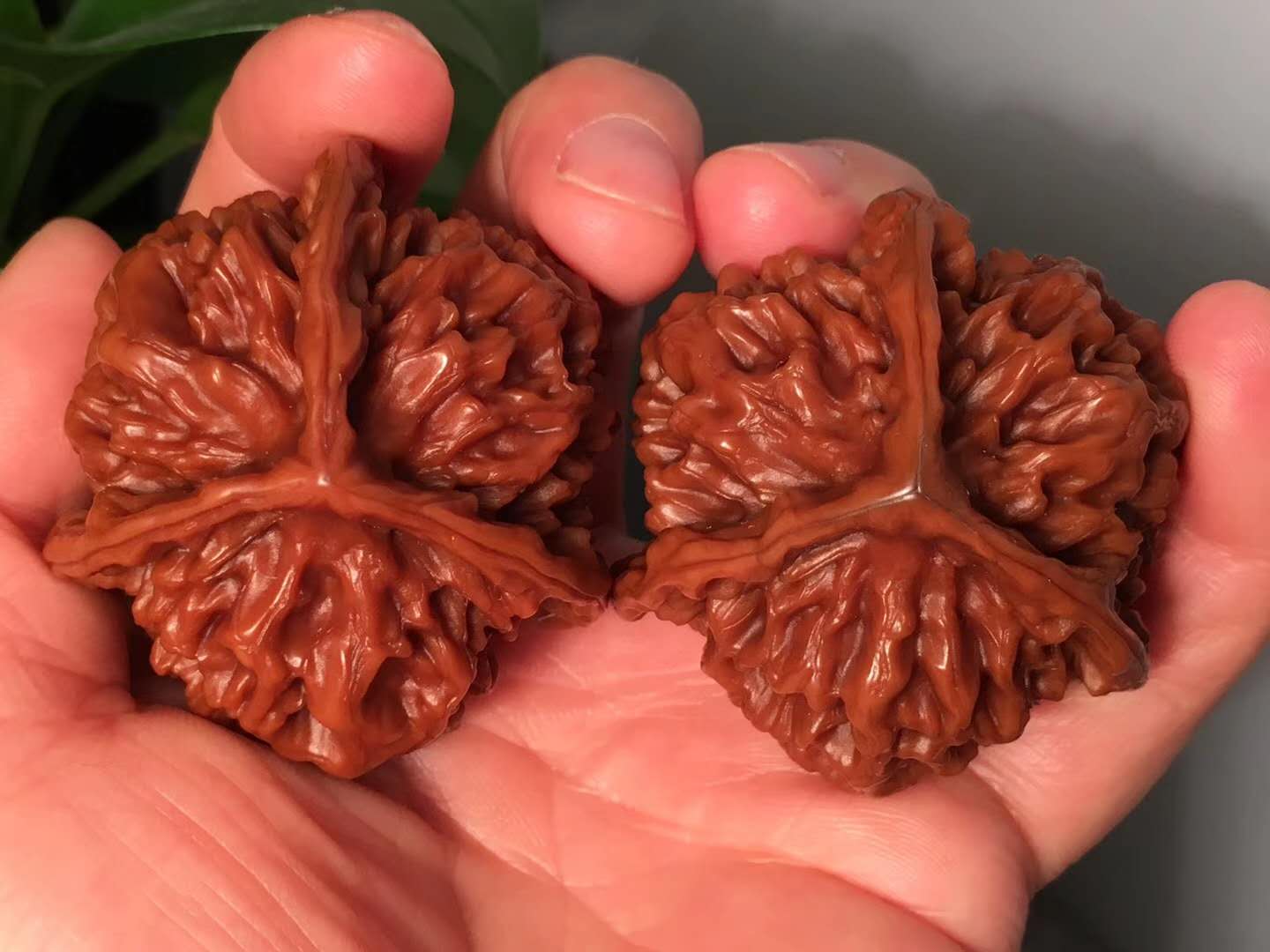 文玩核桃盘玩六大误区,盘玩文玩核桃必学的几个技巧