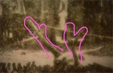 辽宁营口坠龙事件听说过吗,辽宁营口坠龙事件到底是真是假