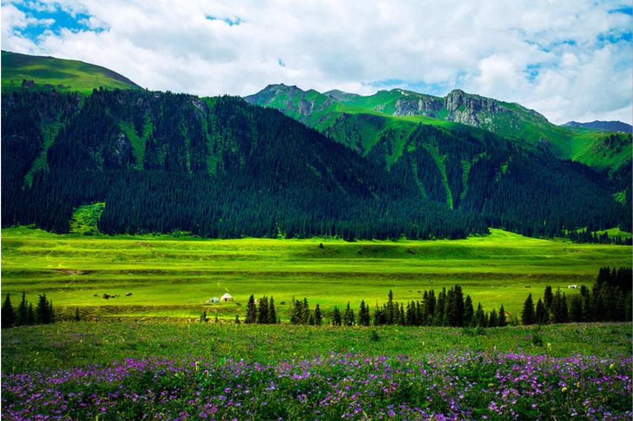 尼勒克县在天山脚下,尼勒克县离天山有多远