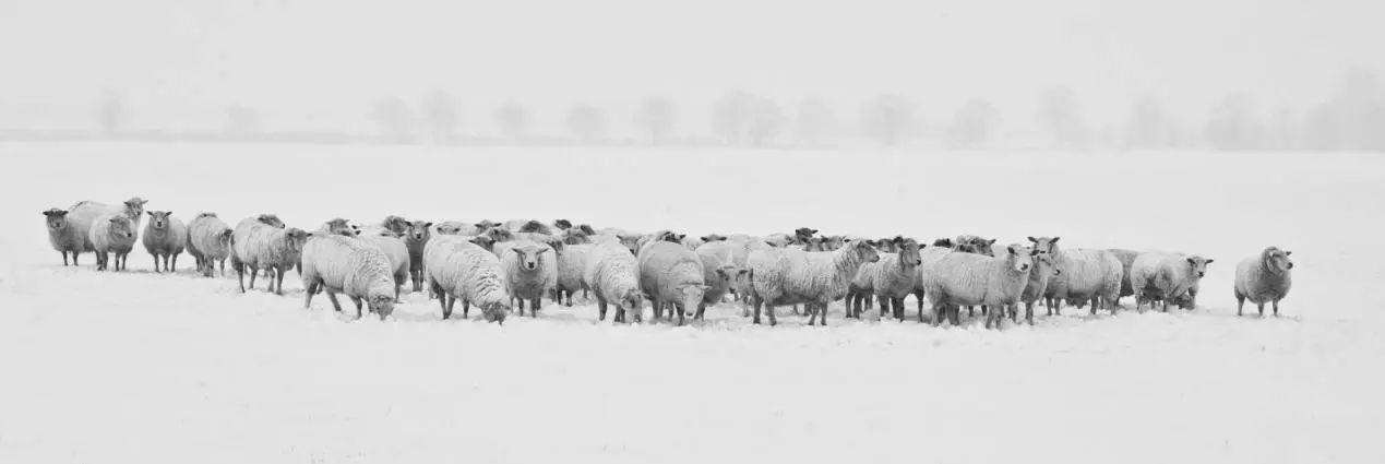 每日后期术语|了解「色温」