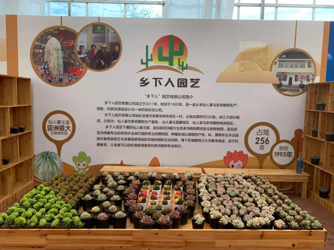 这个年销量上亿株多肉的县城，举办了首届多肉电商节