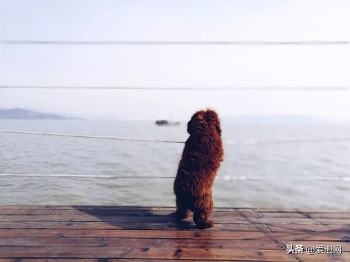 苏州面朝太湖民宿价格,苏州两天一晚旅游民宿推荐