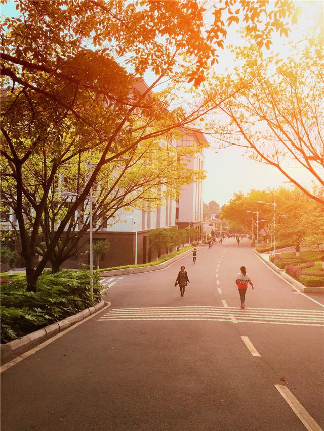 绵阳西园学校与绵阳实验中学,四川绵阳高级中学实验学校