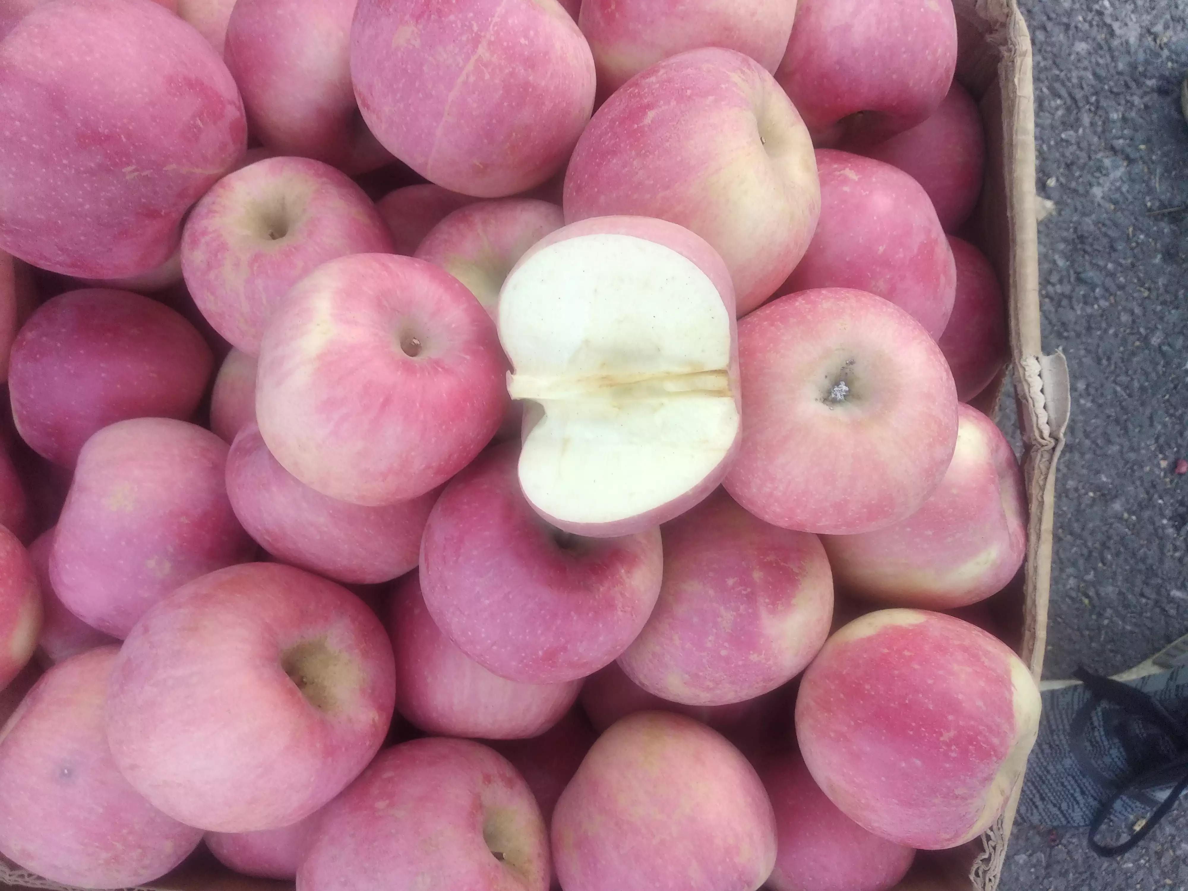 家有余粮心不慌正能量,家有余粮心不慌抖音