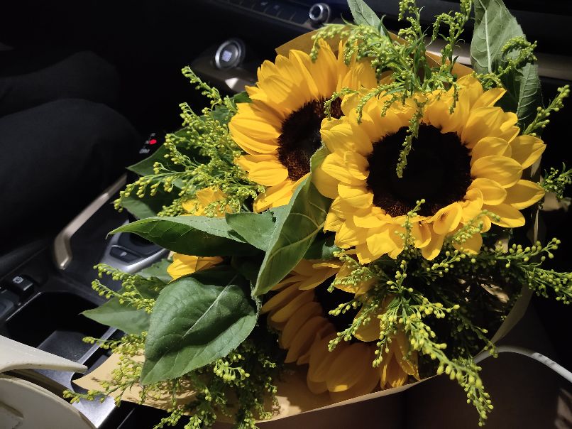 怎么判断自己是直男还是假直男,怎么鉴别是真直男还是假直男