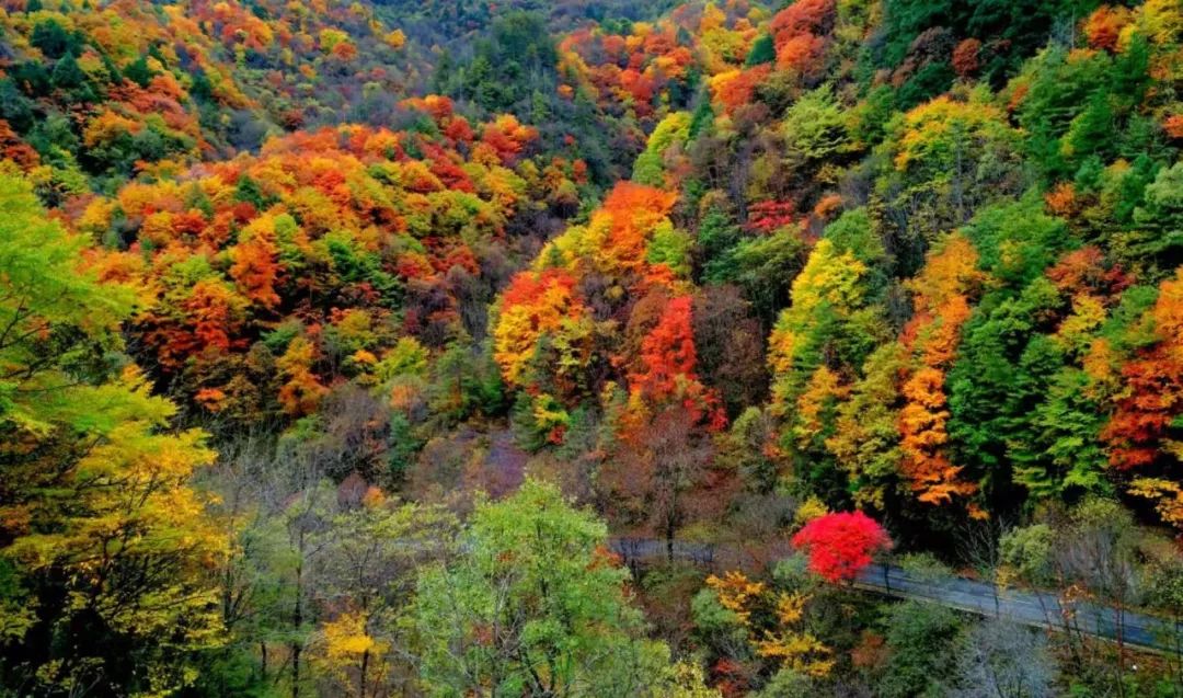 绉嬪ぉ鏉ヤ簡鎴戝湪绛変綘鏈楄,绉嬪ぉ鏉ヤ簡鎴戝湪鍐ぉ绛変綘