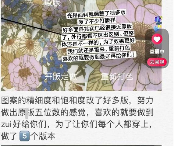 张大奕为什么被称为大陆第一网红,网红张大奕品牌