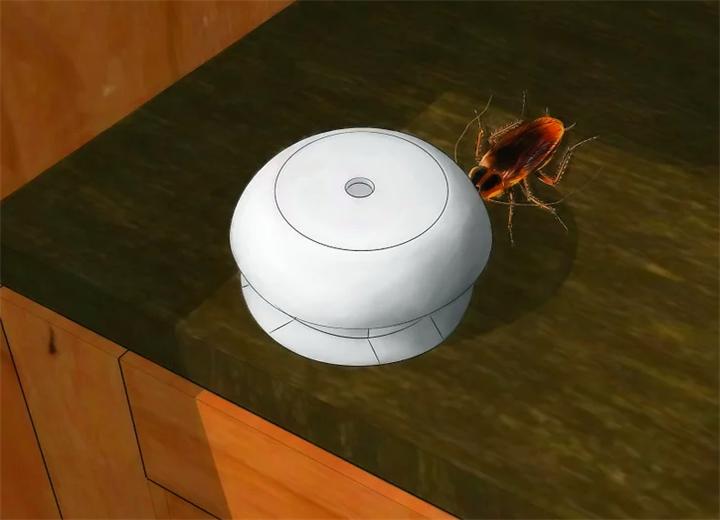 家里蟑螂太多处理方法不用小苏打,家里蟑螂太多怎么能彻底清除蟑螂