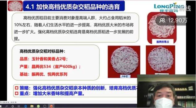 鍐滀紒涓绘挱,鍐滀紒鐩存挱