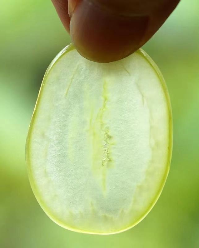 晴王和阳光玫瑰是一个品种吗,日本晴王葡萄和阳光玫瑰的区别