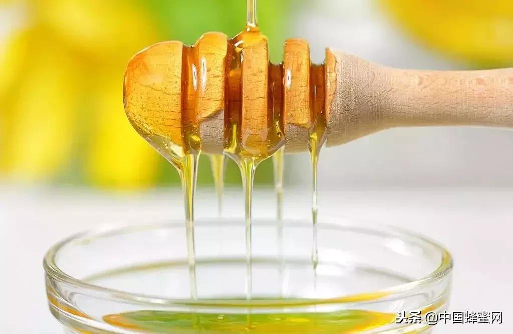 椴树蜂蜜洋槐蜂蜜枣花蜂蜜哪个好,怎么判断蜂蜜是真蜂蜜还是假蜂蜜