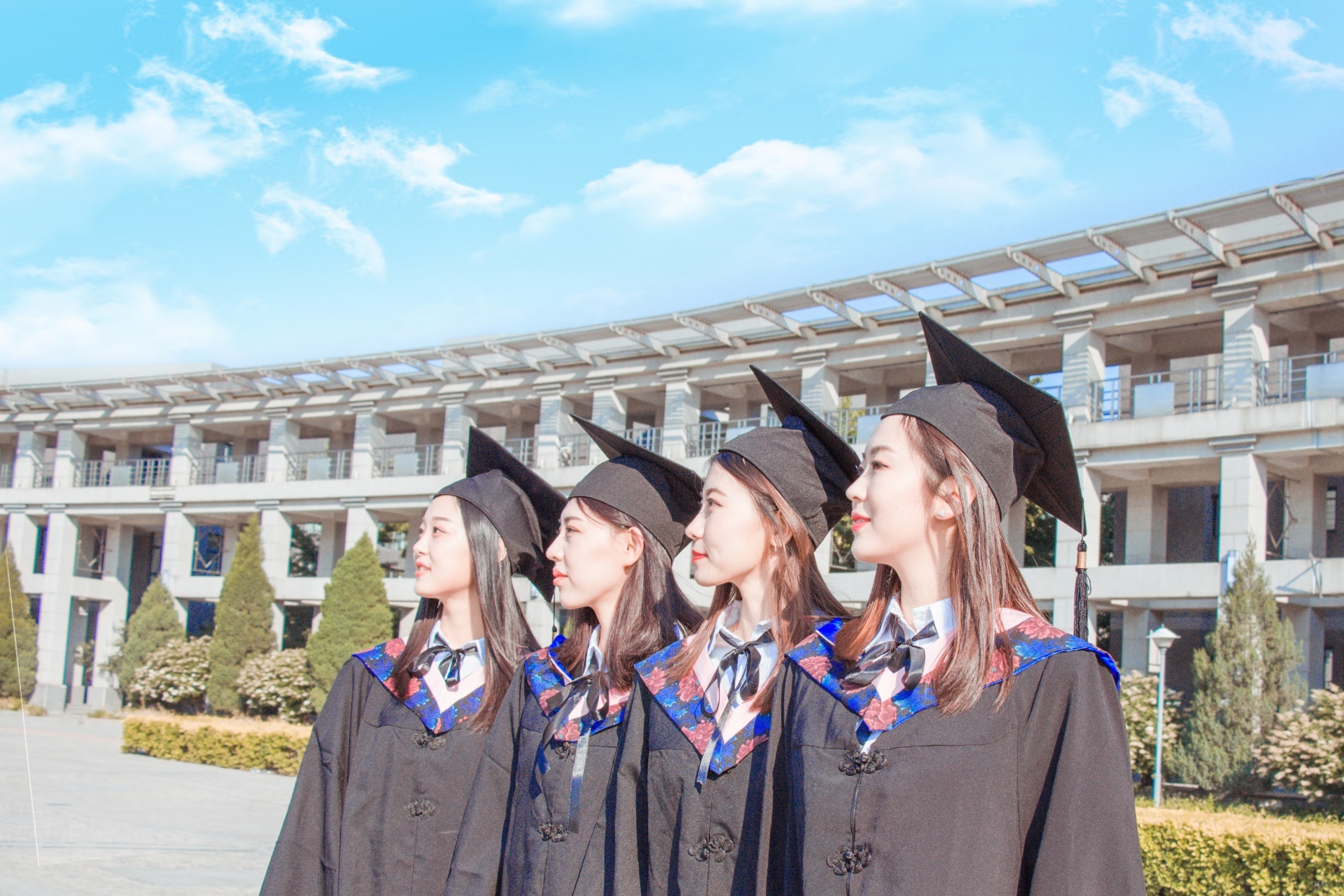 广东超牛二本大学：就业率好，曾是央行直属，收分远超一本线